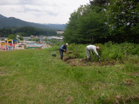植樹活動中の写真