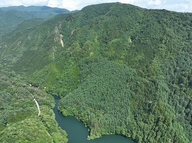 プロジェクト対象地