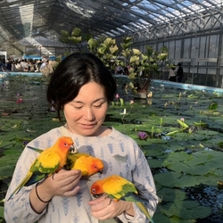 ライターネーム：森本なおこ