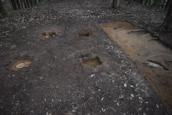 広瀬城跡本丸で確認された礎石の写真