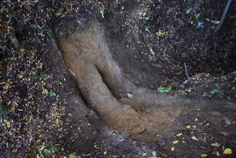 二ノ丸北側堀切の写真