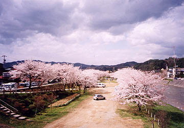 写真：宮川緑地公園