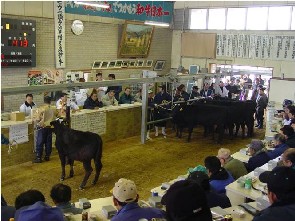 子牛市場の写真